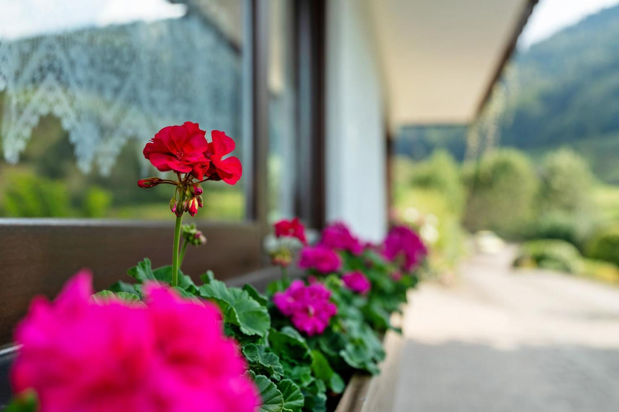 Haus Schindler Apartment Ottenhofen im Schwarzwald Luaran gambar
