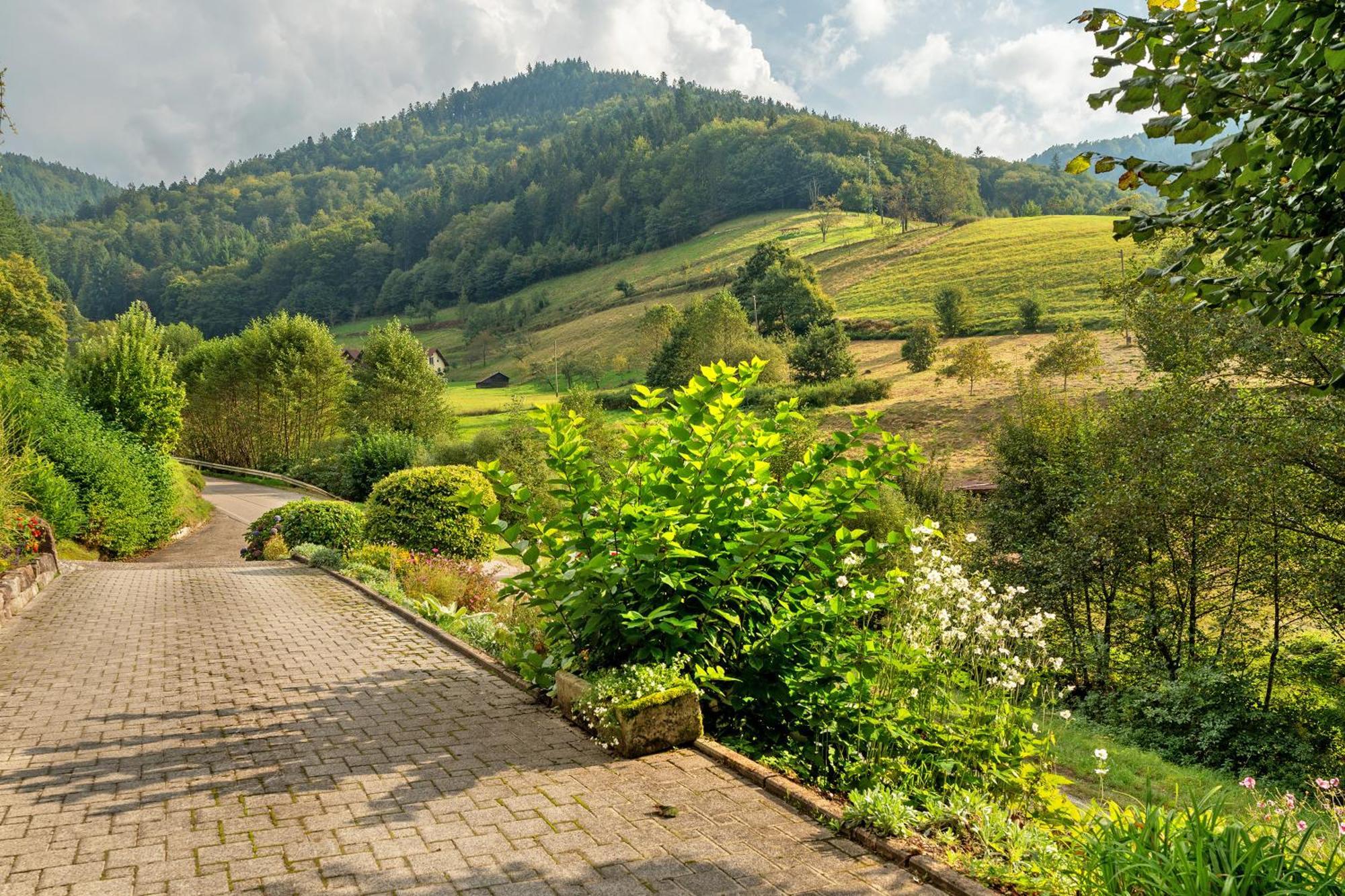 Haus Schindler Apartment Ottenhofen im Schwarzwald Luaran gambar